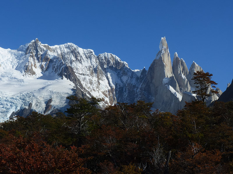 11 Conservation Targets of Torres del Paine in Patagonia